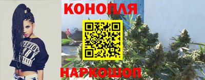 сатива Донецк