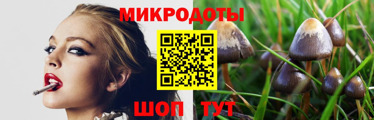 Ртищево  Галлюциногенные грибы прущие грибы  Вход с VPN 